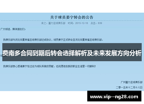 费南多合同到期后转会选择解析及未来发展方向分析