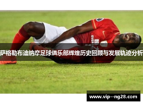 萨格勒布迪纳摩足球俱乐部辉煌历史回顾与发展轨迹分析