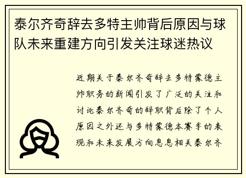 泰尔齐奇辞去多特主帅背后原因与球队未来重建方向引发关注球迷热议